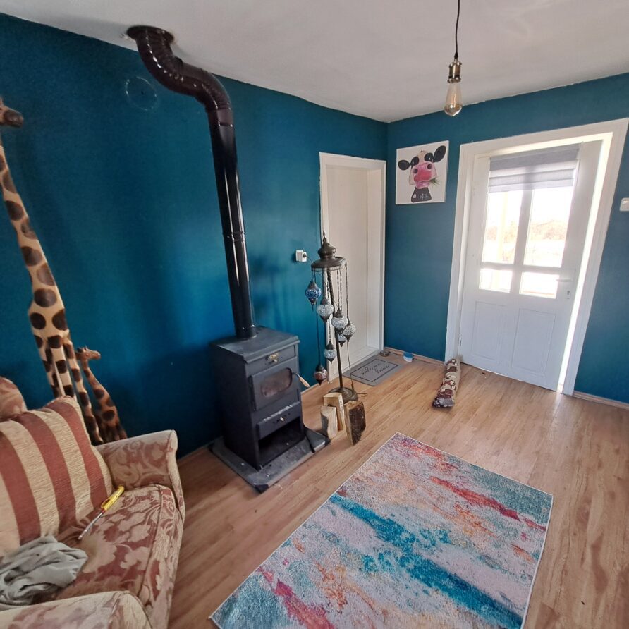 A cosy room at Muddy Puddles Farm with teal walls, a wood-burning stove, giraffe statues, a striped sofa, colourful rug, two animal paintings, and a door leading to a sunlit area—perfect for your Kovachevets farm stay.