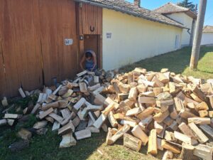 A person bends down near a large pile of chopped firewood outside a wooden barn with a horseshoe above the door, next to a guest house in Kovachevets on a sunny day—perfect for an authentic farm stay experience.