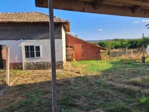A sunlit garden at Muddy Puddles Farm features a rustic house with a tiled roof, small window, and stone base. An old wooden shed stands nearby. The scene includes grassy areas and distant trees under the blue sky.