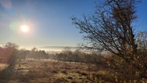 A bright sun rises over a misty rural landscape in Kovachevets, with dry grass, scattered trees, and a clear blue sky. A leafless tree is prominent on the right side, capturing the tranquil charm of this peaceful farm stay.