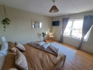 A cosy guest house bedroom at Muddy Puddles Farm in Kovachevets, featuring a neatly made bed with brown pillows and blanket, a white rug, hanging potted plant, wall mirror, standing fan, TV, and large windows with brown curtains.