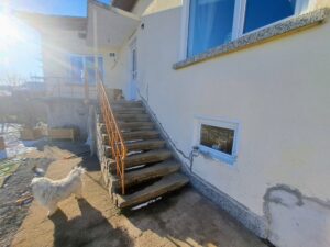 A fluffy white dog stands at the bottom of outdoor concrete steps with a metal railing, leading up to a guest house in Kovachevets with cream-coloured walls and large windows on a sunny day.