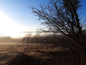 A winter morning at Muddy Puddles Farm in Kovachevets: leafless trees, mist over the fields, and the sun rising in a clear blue sky, casting long shadows across the frosty grass.