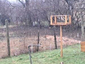 A back garden scene at a Kovachevets guest house with light snow falling, featuring a wooden bird feeder on a post, metal water tap, wire fence, and leafless trees. Grass and a football add charm to this inviting farm stay setting.