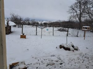 Snow-covered back garden at Muddy Puddles Farm with scattered footprints, garden beds, a pole washing line, bird feeder, and trees. Fenced area opens to a wintry field and cloudy sky—perfect for guests seeking a cosy retreat.