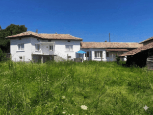 A white two-storey Muddy Puddles Farm guest house with a red-tiled roof stands behind an overgrown grassy garden under a clear blue sky. A blue umbrella and a small outbuilding enhance the inviting farm stay atmosphere on the right side.