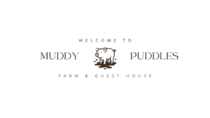 Logo for Muddy Puddles Farm & Guest House in Kovachevets, featuring a cartoon pig standing in mud between the words Muddy and Puddles. "Welcome to" appears above, with "Farm & Guest House" below—perfect for your farm stay.